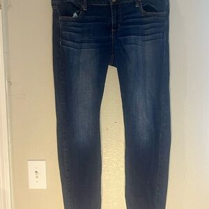 American Eagle Outfitters Dark Blue Skinny Jeans